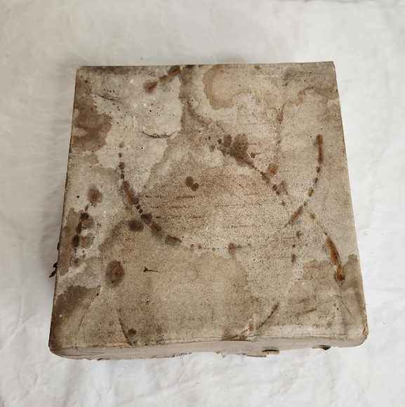 LOT Japanese Scallop Shells for Cooking - Picture 7 of 8